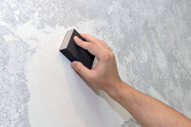 Best Water Damage & Mold Remediation  in Cold Spring, KY