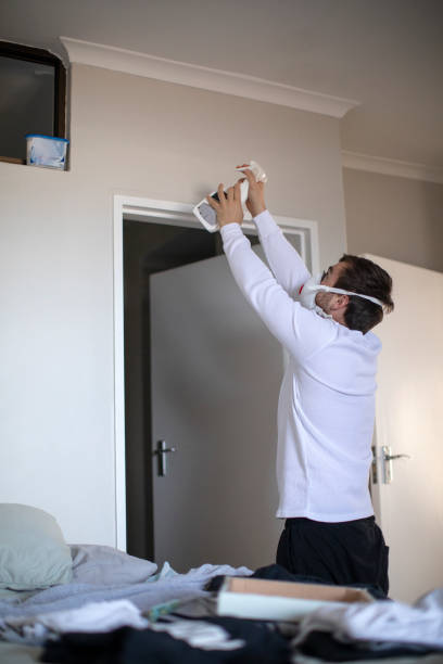 Best Mold Removal for HVAC Installations  in Cold Spring, KY